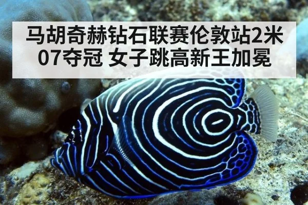 马胡奇赫钻石联赛伦敦站2米07夺冠 女子跳高新王加冕